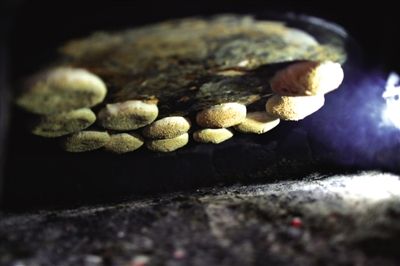 吊爐燒餅是黃驊最典型的面食之一，這種手藝在一些老院子里已經傳承了上百年時間。