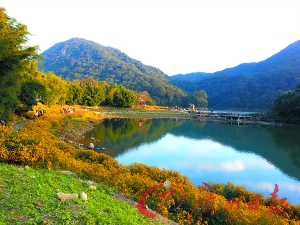 初冬的石門(mén)森林公園色彩絢爛。