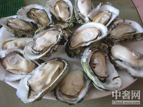 北半球好蠔不止法國(guó) 美加鮮味更足 北半球好蠔不止法國(guó) 美加鮮味更足