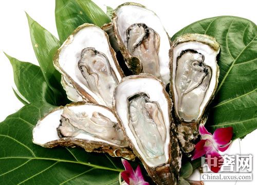 北半球好蠔不止法國(guó) 美加鮮味更足 北半球好蠔不止法國(guó) 美加鮮味更足