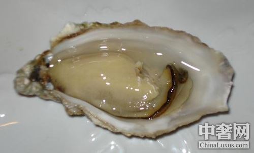 北半球好蠔不止法國(guó) 美加鮮味更足 北半球好蠔不止法國(guó) 美加鮮味更足