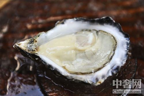 北半球好蠔不止法國(guó) 美加鮮味更足 北半球好蠔不止法國(guó) 美加鮮味更足