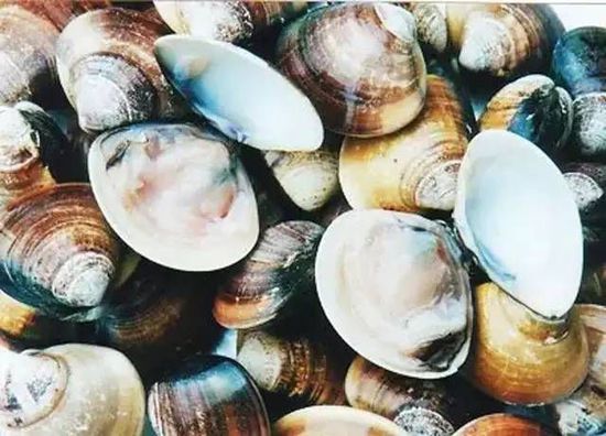 秋季最適合吃的海鮮是這10種 你吃對了嗎？