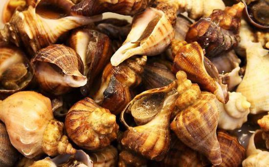 秋季最適合吃的海鮮是這10種 你吃對了嗎？