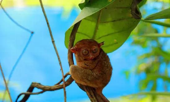 適合在冬天旅游的十個(gè)絕美海島！