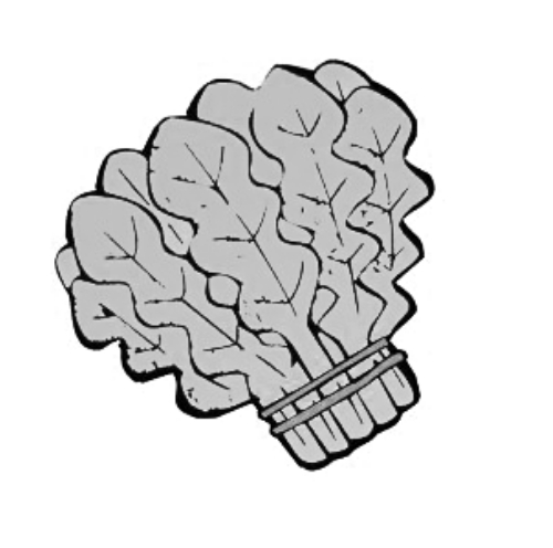 雪后菜價(jià)瘋漲15倍？沒(méi)恁夸張 元旦豬肉雞蛋或漲價(jià)