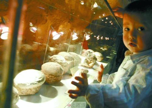 恐龍蛋，這回見識了吧！