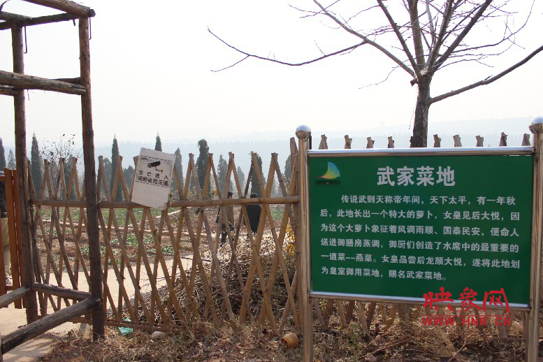 武家菜地就是這，據(jù)說里面有個特大的蘿卜