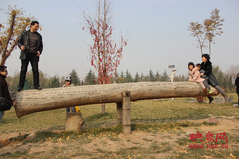 巨大的蹺蹺板，一棵樹。。。看玩的多嗨