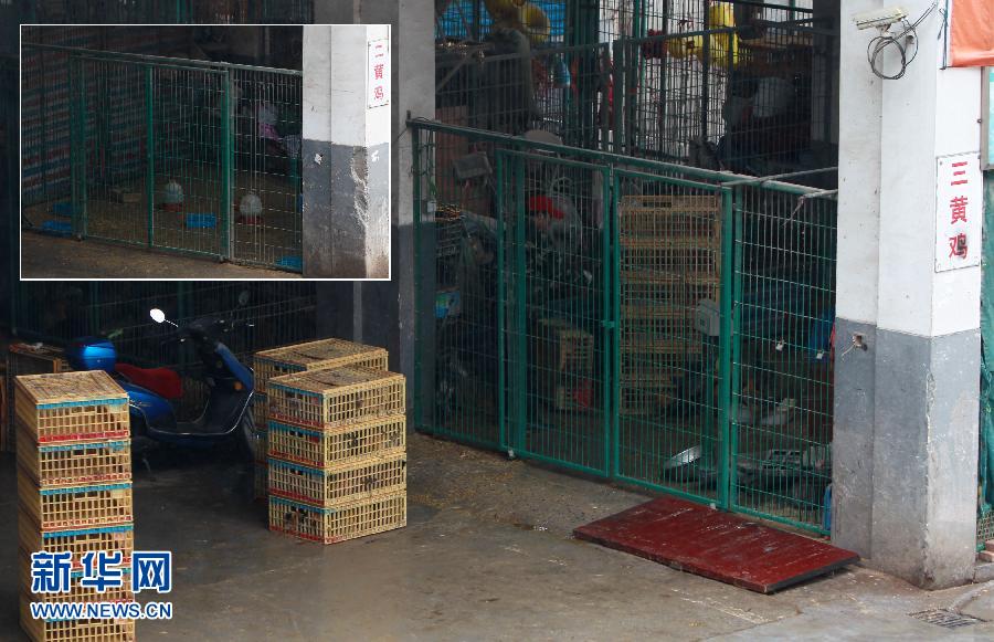 上海6日起暫?；钋萁灰?關(guān)閉所有活禽交易市場