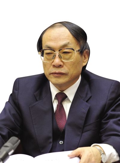 劉志軍（資料圖片）。新華社發(fā)