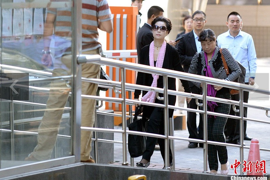 夢鴿現(xiàn)身海淀法院。中新網(wǎng)記者 金碩 攝