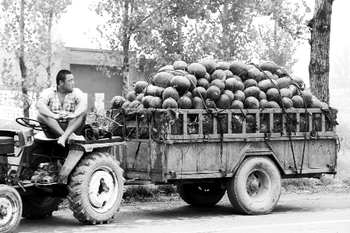 　看著滿滿一車瓜，一瓜農(nóng)愁眉不展。