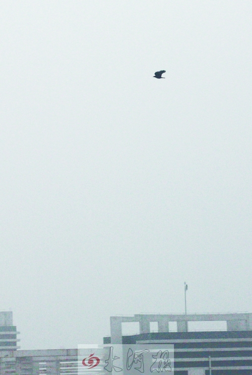 全省35個(gè)縣市發(fā)布惡劣天氣預(yù)警信號(hào)，其中15個(gè)發(fā)布大霧紅色預(yù)警