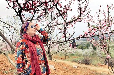 公式“時尚奶奶”的賞花照，收獲了好多人的點(diǎn)贊。 受訪者供圖