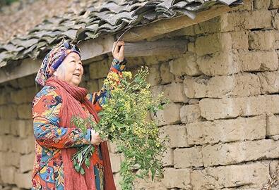 公式“時尚奶奶”的賞花照，收獲了好多人的點(diǎn)贊。 受訪者供圖