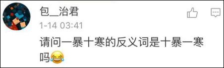 鶴立雞群？雞立鶴群！