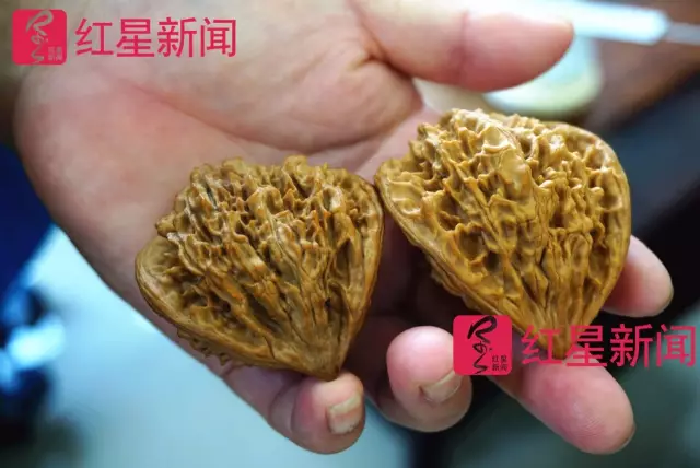 文玩核桃遇冷由幾萬一對降到5元沒人要？商戶否認