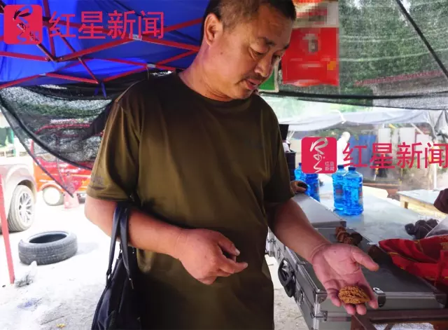 文玩核桃遇冷由幾萬一對降到5元沒人要？商戶否認