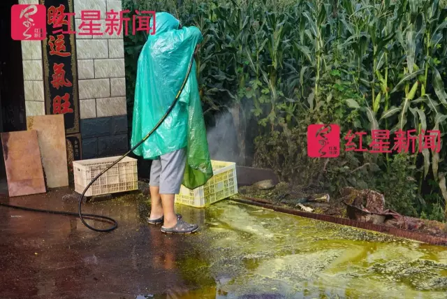 文玩核桃遇冷由幾萬一對降到5元沒人要？商戶否認