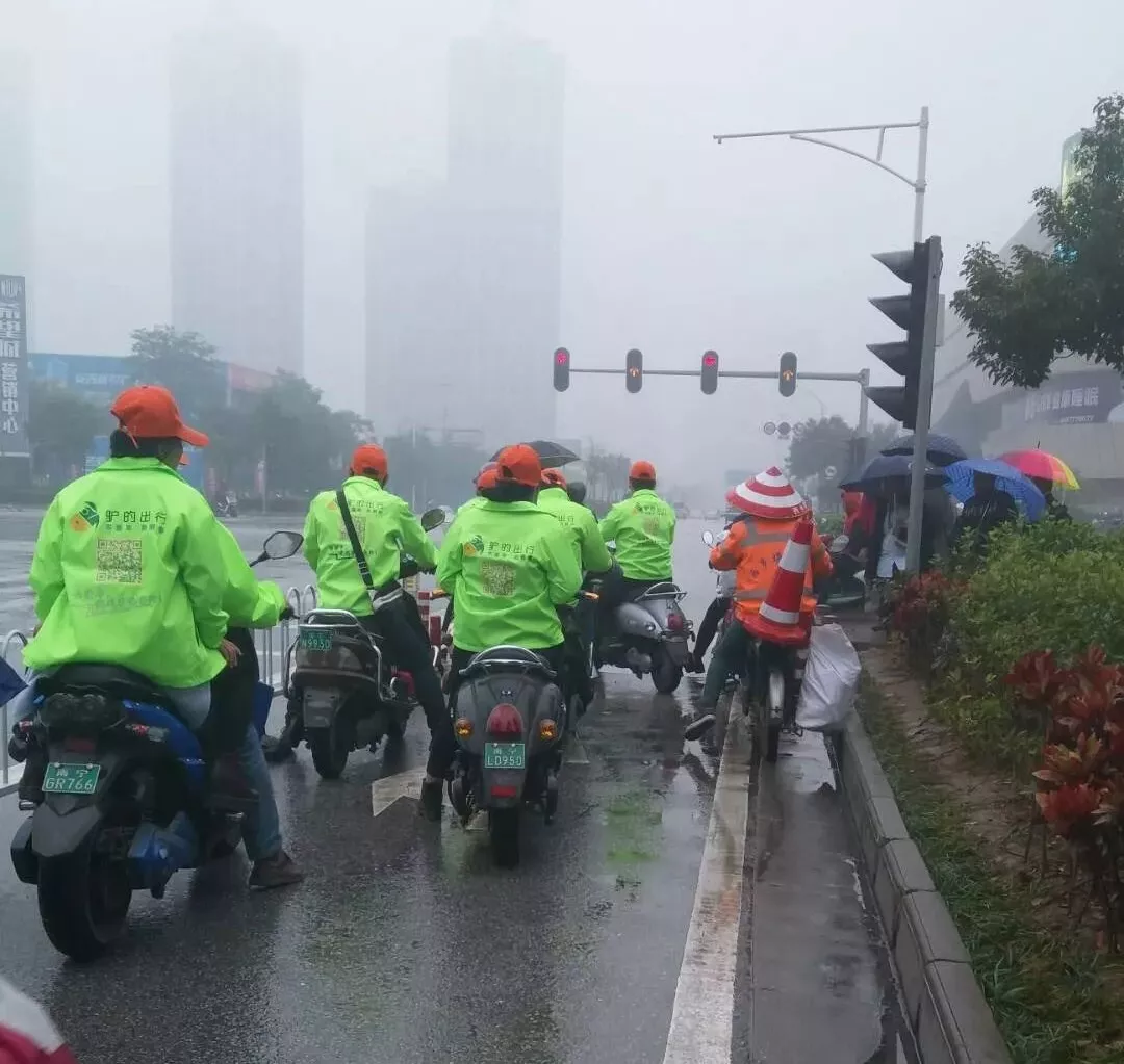 出門打驢？ 南寧“滴滴打驢”被緊急叫停