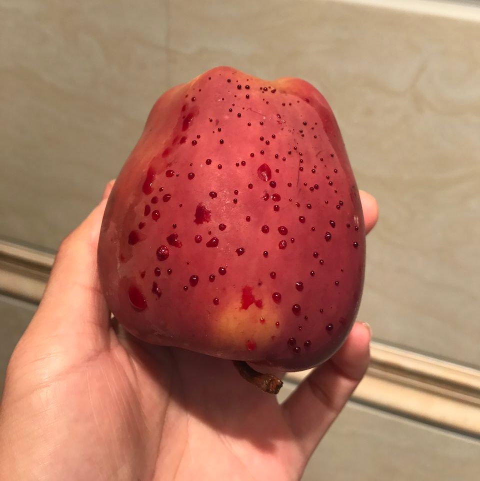 嚇懵！女子用熱水泡蘋果結(jié)果冒出血珠 咋回事？
