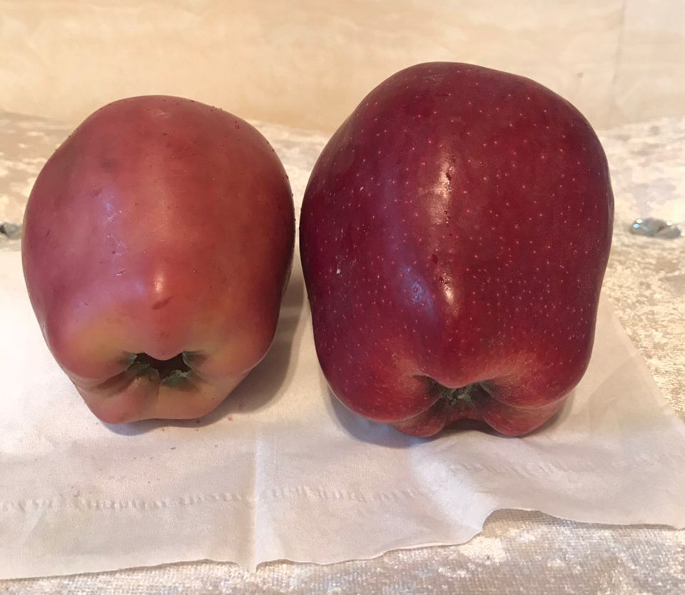 嚇懵！女子用熱水泡蘋果結(jié)果冒出血珠 咋回事？