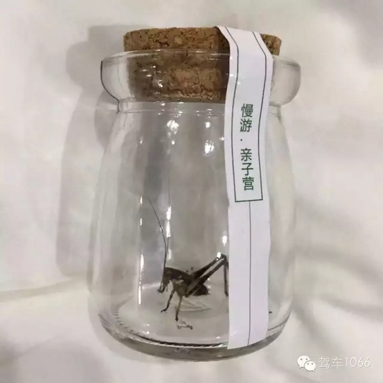 看看我的成果吧！