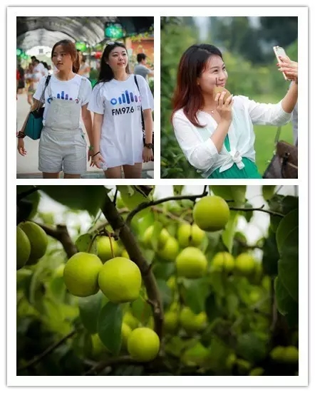 美女與香梨，你更愛哪一個(gè)？！