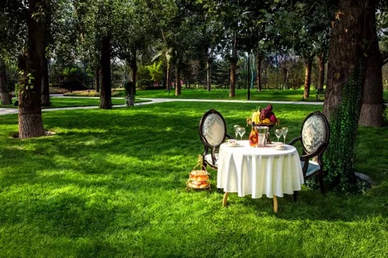 秋陽(yáng)鴻園，芳草青青