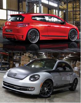 尚酷、甲殼蟲