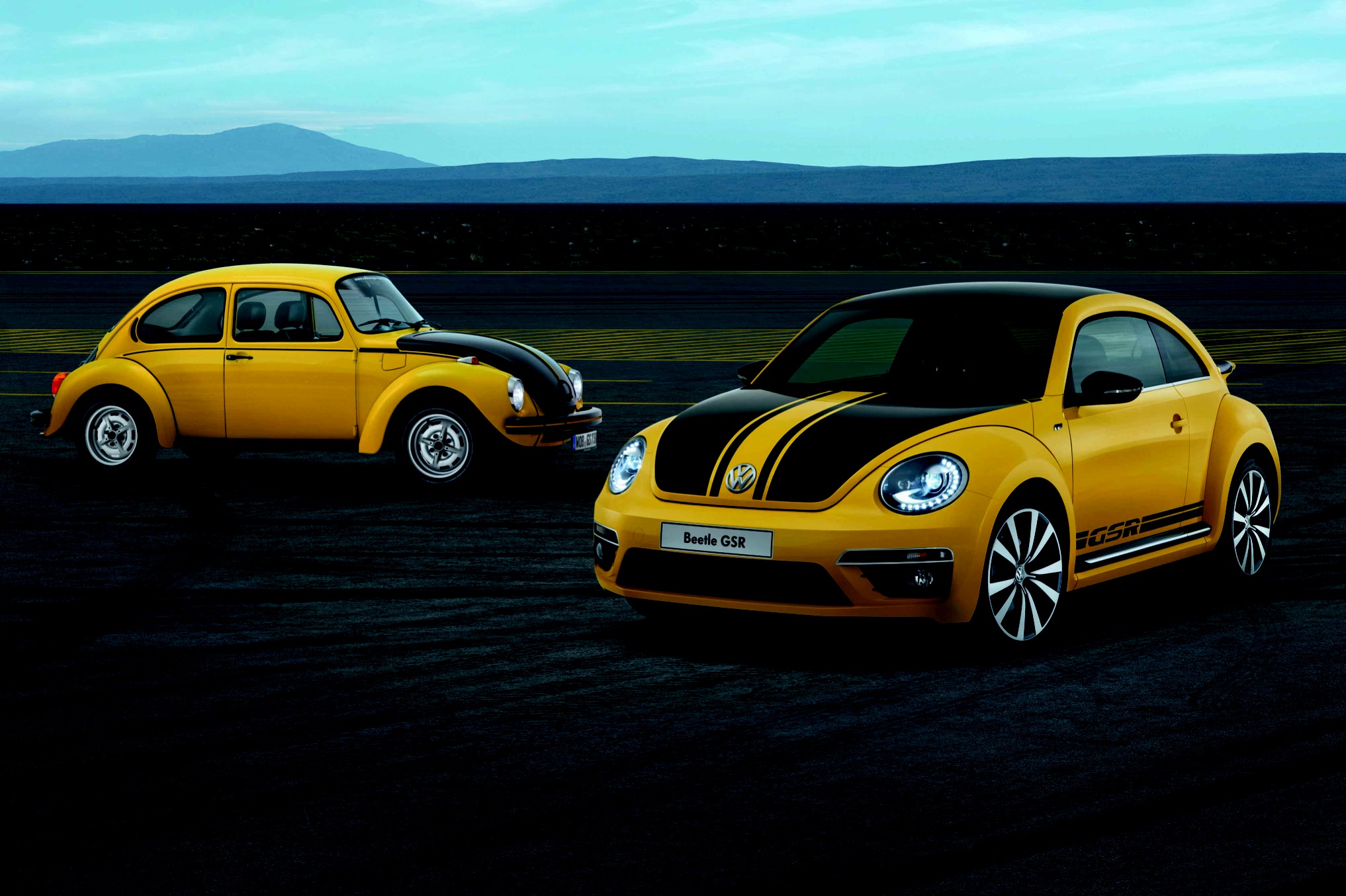 甲殼蟲家族 甲殼蟲家族