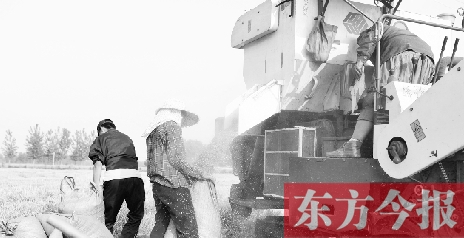 李正厚的妻子鮑本華（右）和一位村民拎著麻袋來到收割機(jī)前，接住傾倒出來的麥粒