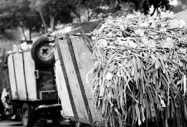 垃圾車、渣土車再在市區(qū)“裸奔”就是違法了