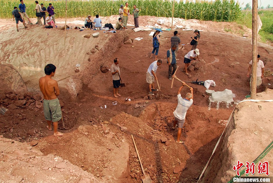 恐龍化石發(fā)掘現(xiàn)場。