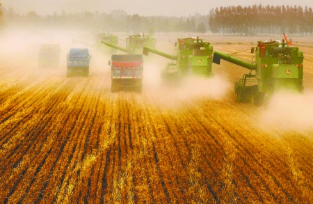 田里，一臺臺收割機(jī)唱著豐收歌。