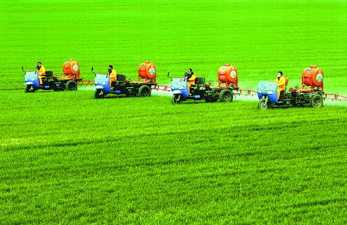 車載噴霧機(jī)奔駛在萬畝高產(chǎn)田里。