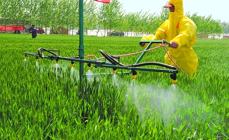 河南省扶溝縣韭園鎮(zhèn)農(nóng)民在示范基地內(nèi)進(jìn)行麥田施肥作業(yè) 河南省扶溝縣韭園鎮(zhèn)農(nóng)民在示范基地內(nèi)進(jìn)行麥田施肥作業(yè)