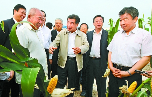 圖為回良玉在鄧州市腰店鄉(xiāng)草寺村視察萬畝玉米高產(chǎn)示范方。