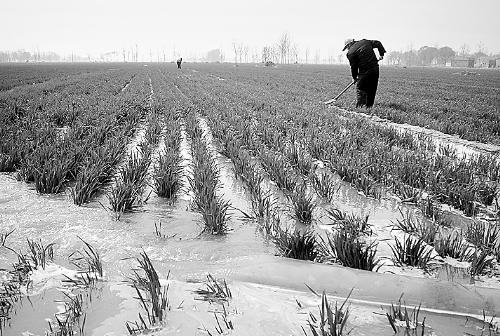 3月25日，濮陽縣郎中鄉(xiāng)大趙寨村農(nóng)民在為小麥澆水。連日來，濮陽縣廣大農(nóng)民不誤農(nóng)時，及時為麥田施肥、澆