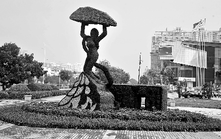 8月28日，南陽街頭繁花似錦，市民宛若行走在花海之中。