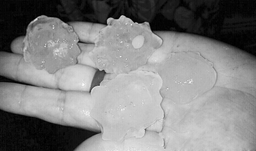 昨天凌晨，三門峽下起了冰雹，最大直徑近1厘米 微博截圖