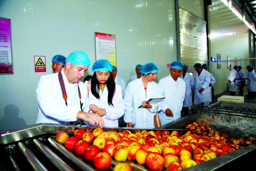 三門(mén)峽蘋(píng)果拿到加拿大市場(chǎng)“通行證”