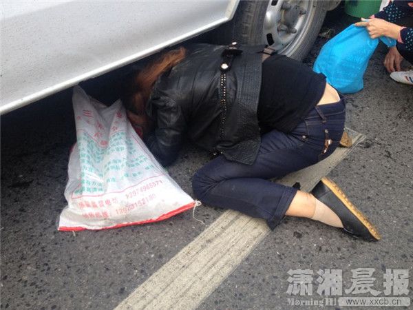 兩車刮擦致螃蟹鱷魚(yú)滿地爬 被路人搶光