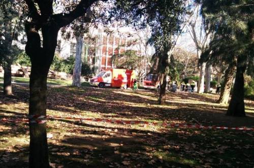 西班牙男子跳進(jìn)動物園獅子山 西班牙男子跳進(jìn)動物園獅子山
