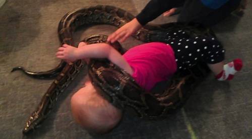 男子愛蛇如命 巨蟒與女兒們 男子愛蛇如命 巨蟒與女兒們