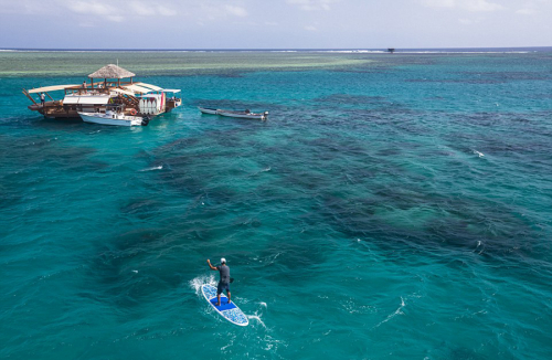 建在海上的披薩店 建在海上的披薩店