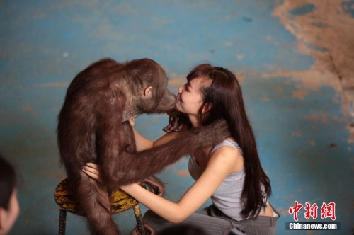 學(xué)生參加?；ㄐ２荽筚?穿比基尼秀身材