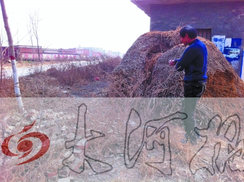 張哥、張弟就是在這兒撿到的投毒面包。