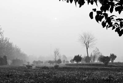 3月26日上午8點,鄭大新校區(qū),濃濃的霧霾埋沒了大好春景。